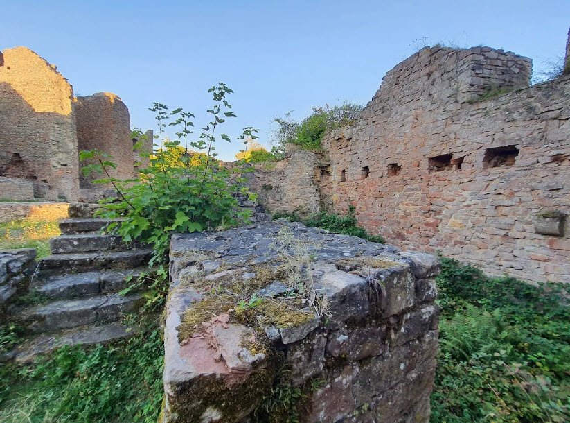 Burgruine Montfort, Hallgarten, Germany, Germany